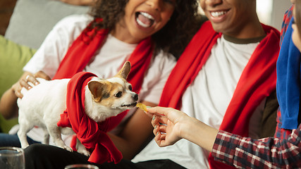 Image showing Excited group of people watching sport match, championship at home