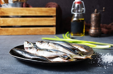 Image showing  raw smelt fish