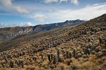 Image showing Mountain landscape in the Andes