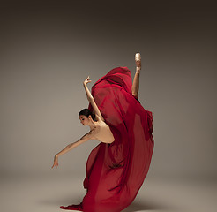 Image showing Young graceful tender ballerina on grey studio background