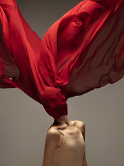 Image showing Young graceful tender ballerina on grey studio background