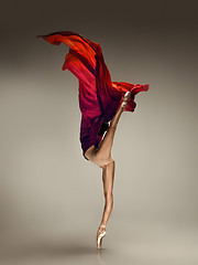 Image showing Young graceful tender ballerina on grey studio background