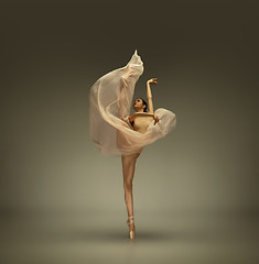 Image showing Young graceful tender ballerina on grey studio background