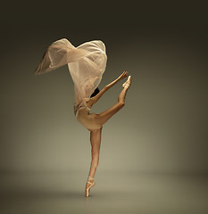 Image showing Young graceful tender ballerina on grey studio background