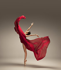 Image showing Young graceful tender ballerina on grey studio background