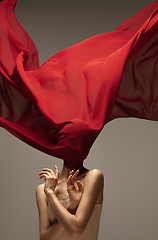 Image showing Young graceful tender ballerina on grey studio background