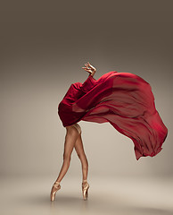 Image showing Young graceful tender ballerina on grey studio background