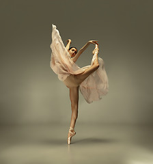 Image showing Young graceful tender ballerina on grey studio background