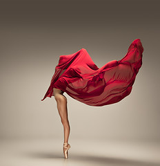 Image showing Young graceful tender ballerina on grey studio background