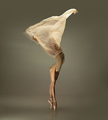 Image showing Young graceful tender ballerina on grey studio background