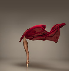 Image showing Young graceful tender ballerina on grey studio background