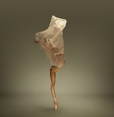 Image showing Young graceful tender ballerina on grey studio background