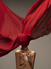 Image showing Young graceful tender ballerina on grey studio background