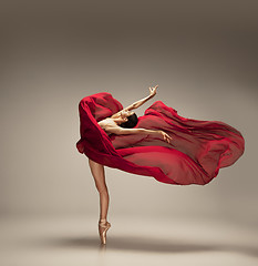 Image showing Young graceful tender ballerina on grey studio background