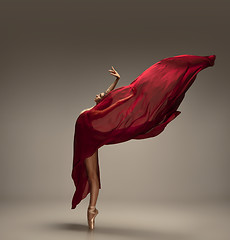 Image showing Young graceful tender ballerina on grey studio background