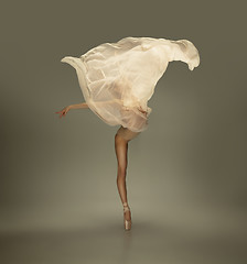 Image showing Young graceful tender ballerina on grey studio background