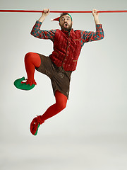 Image showing friendly man dressed like a funny gnome posing on an isolated gray background