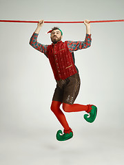 Image showing friendly man dressed like a funny gnome posing on an isolated gray background