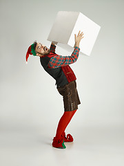 Image showing friendly man dressed like a funny gnome posing on an isolated gray background