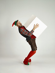 Image showing friendly man dressed like a funny gnome posing on an isolated gray background