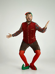 Image showing friendly man dressed like a funny gnome posing on an isolated gray background