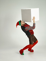 Image showing friendly man dressed like a funny gnome posing on an isolated gray background