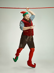 Image showing friendly man dressed like a funny gnome posing on an isolated gray background