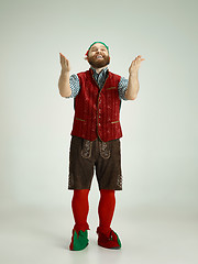 Image showing friendly man dressed like a funny gnome posing on an isolated gray background