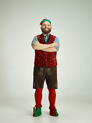 Image showing friendly man dressed like a funny gnome posing on an isolated gray background