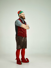 Image showing friendly man dressed like a funny gnome posing on an isolated gray background