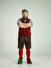 Image showing friendly man dressed like a funny gnome posing on an isolated gray background