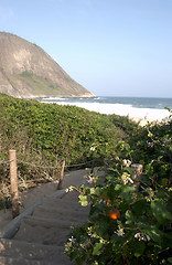 Image showing Itacoatiara beach entrance path 