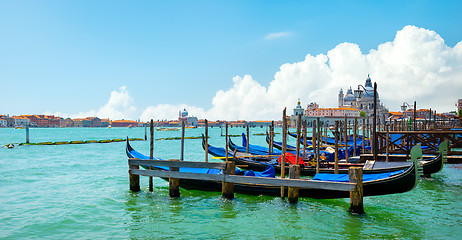 Image showing Gondolas along the Grand Canal