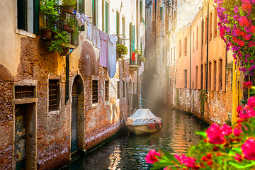 Image showing Flowers in Venice