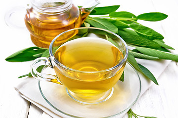 Image showing Tea herbal with sage in cup on white board