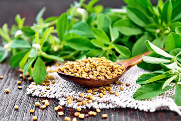 Image showing Fenugreek in spoon with leaves on board