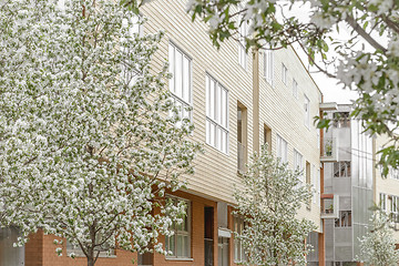 Image showing Modern building surrounded by blooming trees