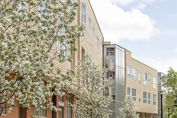 Image showing Modern neighborhood in spring