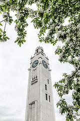 Image showing White clock tower seen through blooming trees