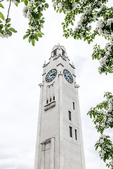 Image showing White clock tower and apple blossom