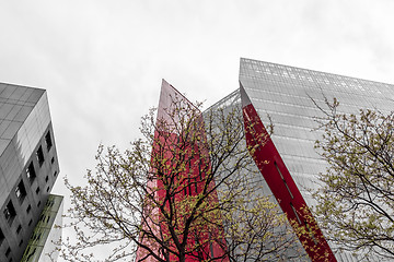 Image showing Young spring trees and urban glass buildings