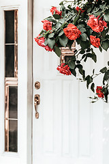 Image showing White door and blooming wild roses