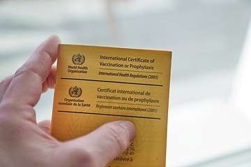 Image showing Vaccination certificate shown at immigration control