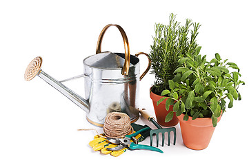 Image showing Gardening tools isolated