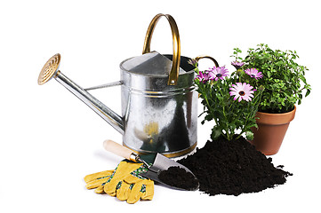 Image showing Gardening tools isolated