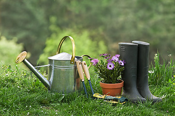 Image showing Gardening tools