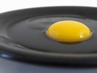 Image showing Raw Egg on Black