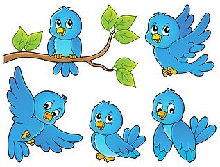 Image showing Happy birds theme image 1