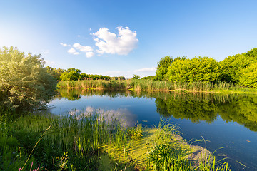 Image showing Day on a calm river