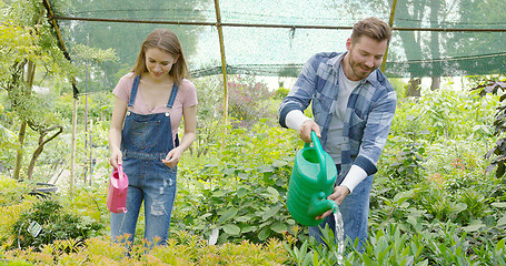 Image showing Young man and woman taking care of plants and watering with pot